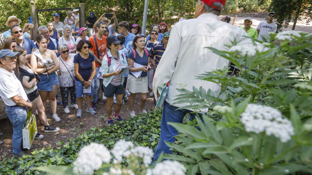 La Demanda Botánica