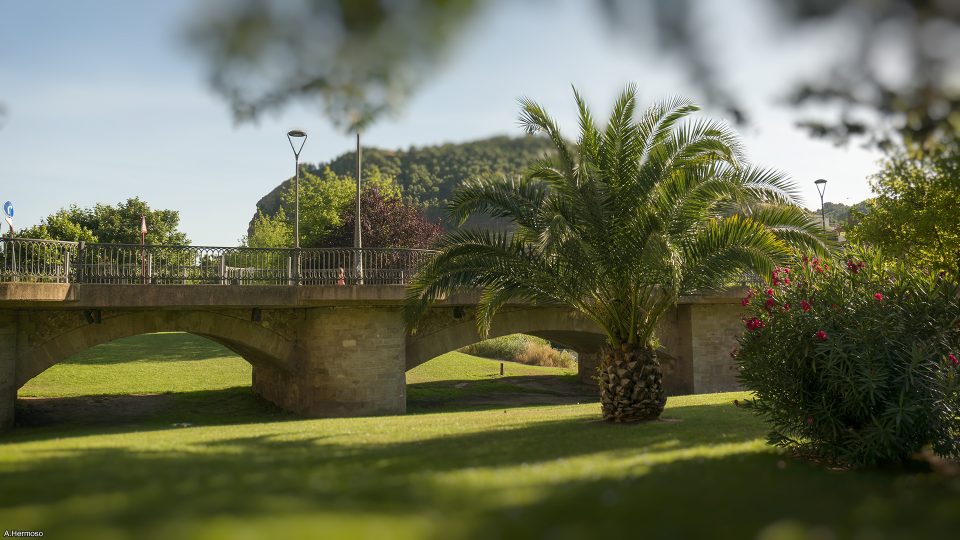 puente piedra najera